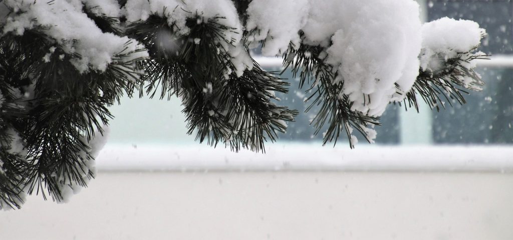 Frozen Pipe Thaw NYC